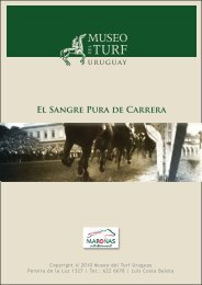 El SANGRE PURA dE CARRERA - Museo del Turf Uruguay