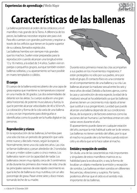 Características de las ballenas - Aula Creativa