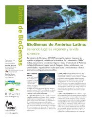 NRDC: BioGemas de América Latina: Salvando lugares vírgenes y ...