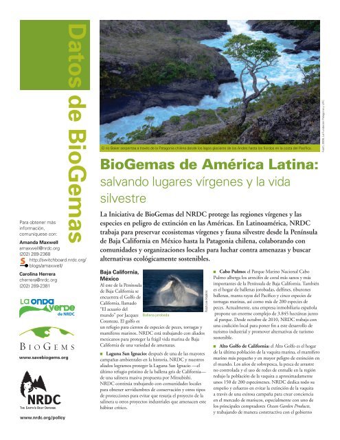 NRDC: BioGemas de América Latina: Salvando lugares vírgenes y ...