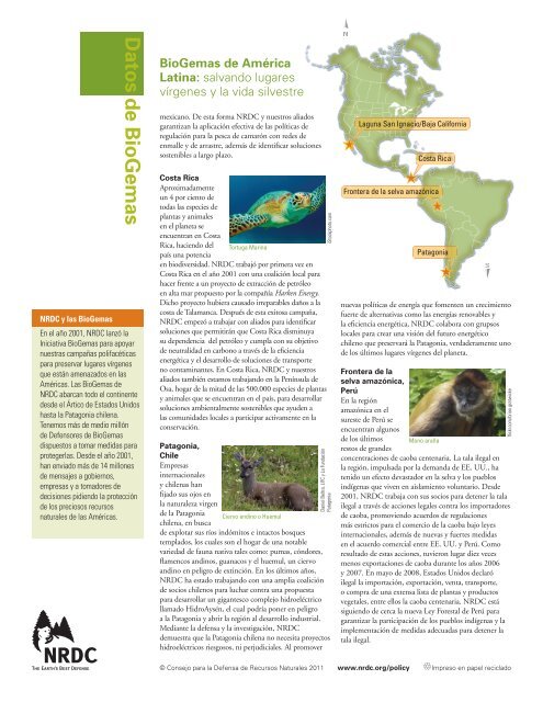 NRDC: BioGemas de América Latina: Salvando lugares vírgenes y ...