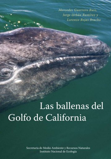 Las ballenas del Golfo de California - Instituto Nacional de Ecología