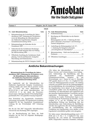 Amtsblatt Nr. 01/2009 - Stadt Salzgitter