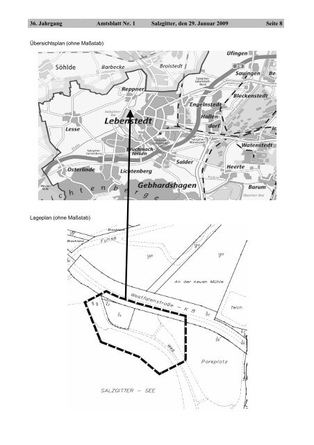 Amtsblatt Nr. 01/2009 - Stadt Salzgitter