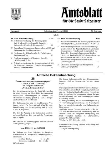 Amtsblatt 2011/06 - Stadt Salzgitter