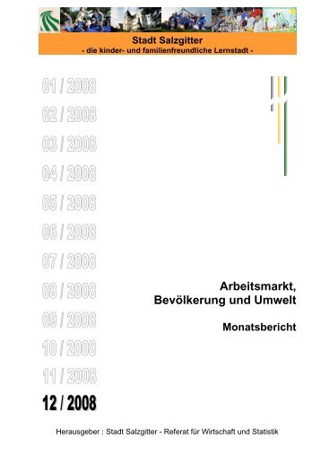 Arbeitsmarkt, Bevölkerung und Umwelt - Stadt Salzgitter