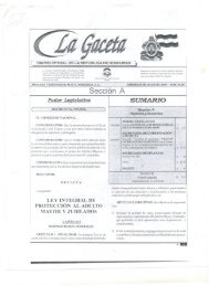 199-2006, Ley Integral de Protección al Adulto Mayor y Jubilados