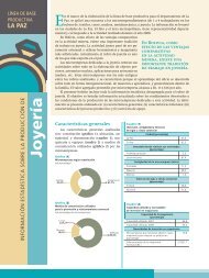 Joyería - Informe sobre Desarrollo Humano en Bolivia - (PNUD).