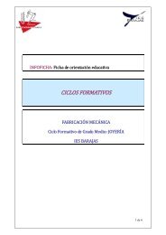 CICLOS FORMATIVOS - IES Barajas