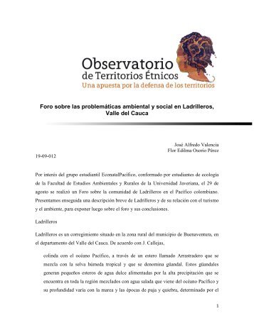 Foro sobre las problemáticas ambiental y social en Ladrilleros, Valle ...