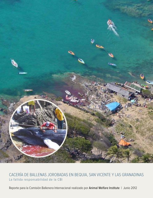 CaCería de Ballenas joroBadas en Bequia, san ViCente y las ...