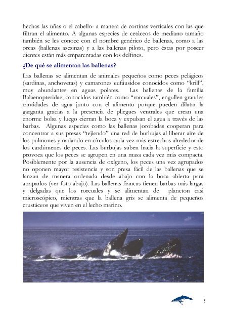 Guía de campo para la observación de ballenas jorobadas
