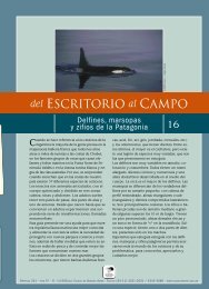 Guía para reconocer delfines, marsopas y zifios ... - Claudio Bertonatti