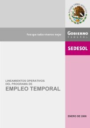 Lineamientos Operativos del PET SEDESOL 2008 - cipet