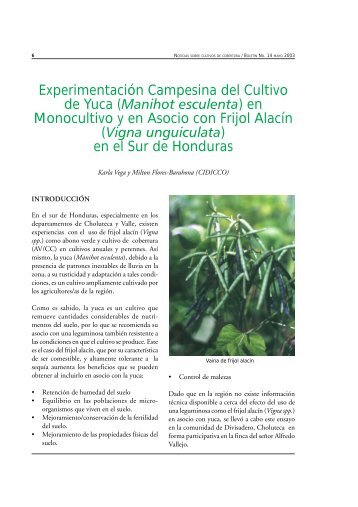 Experimentación Campesina del Cultivo de Yuca ... - CIDICCO