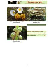 Año VI Nº 2 - Asociación Botánica y Micológica de Jaén