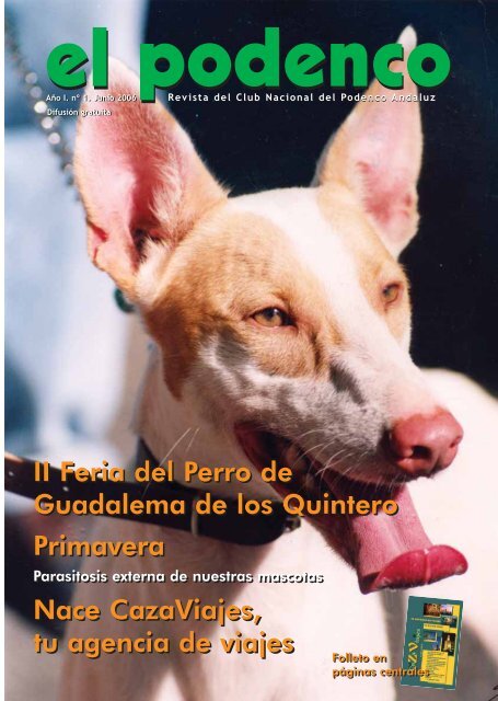 II Feria del Perro de Guadalema de los Quintero Primavera Nace ...