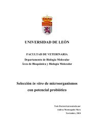 2010ON-MONTEAGUDO MERA, ANDREA.pdf - Universidad de León