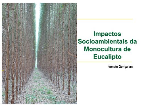 Impactos Socioambientais da Monocultura de Eucalipto