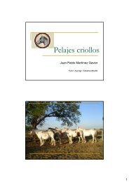 Pelajes criollos