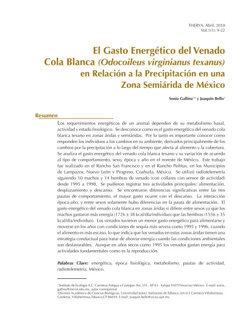 Que es gasto energetico