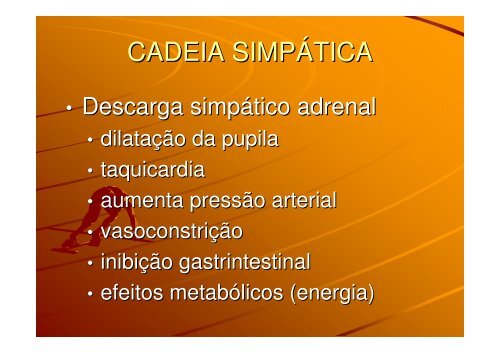 SISTEMA NERVOSO AUTÔNOMO