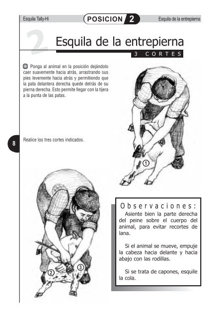 Manual de esquila Tally-Hi con tijera mecánica