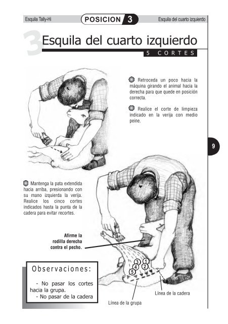 Manual de esquila Tally-Hi con tijera mecánica