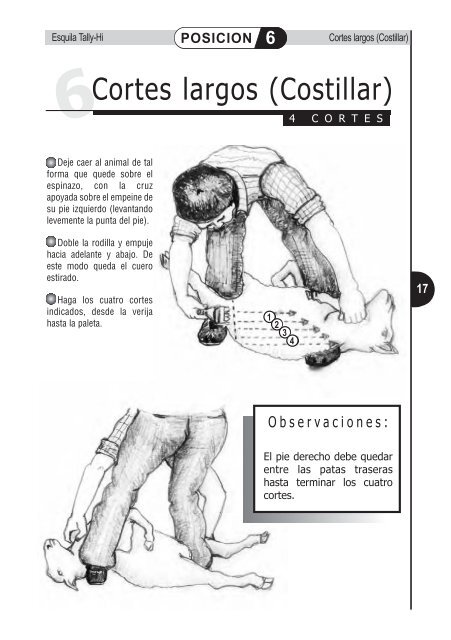 Manual de esquila Tally-Hi con tijera mecánica