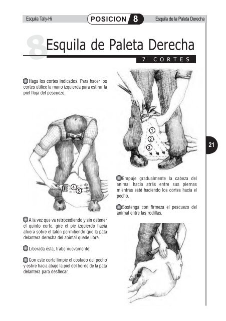 Manual de esquila Tally-Hi con tijera mecánica