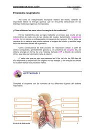 El sistema respiratorio - Escritorio del Alumno