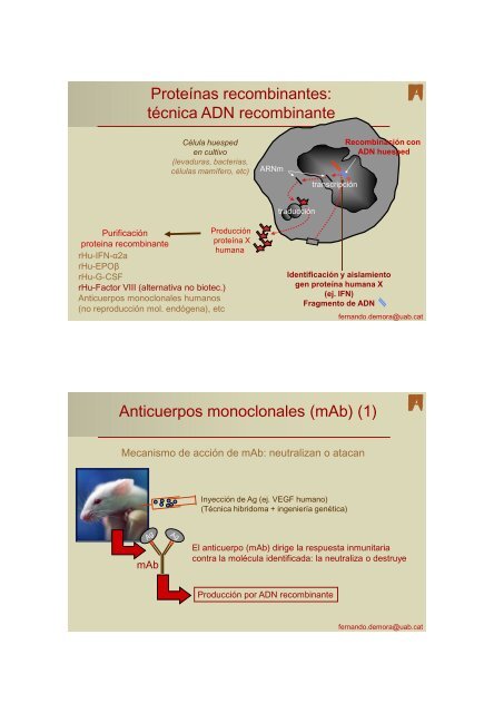 Fármacos biotecnológicos, el proceso es el producto ÍNDICE