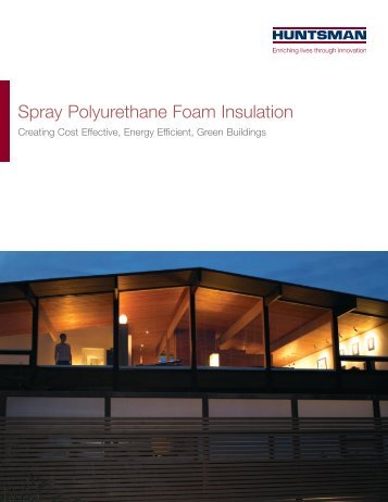 Spray Polyurethane Foam Insulation