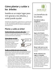 Cómo plantar y cuidar a los árboles