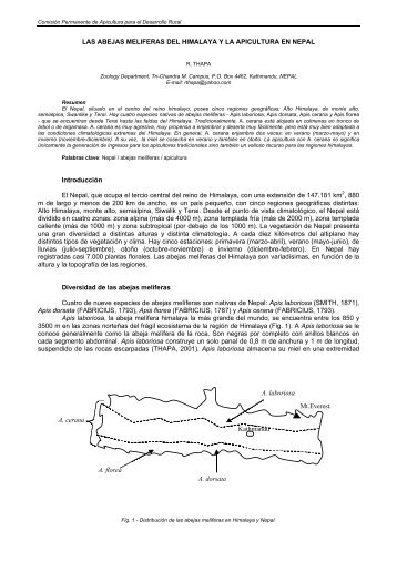 las abejas meliferas del himalaya y la apicultura en nepal - Apimondia