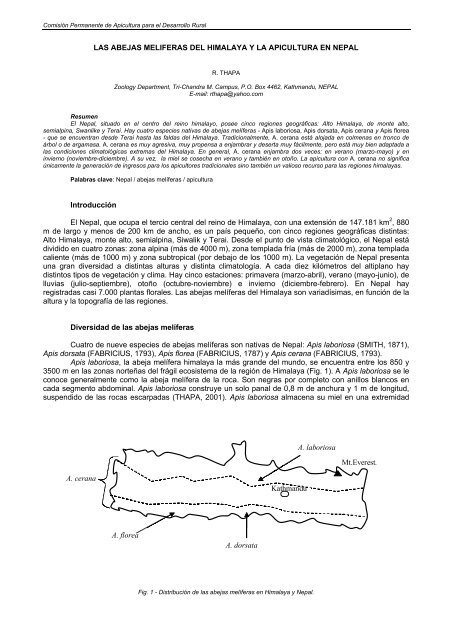 las abejas meliferas del himalaya y la apicultura en nepal - Apimondia