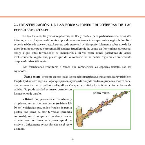 medidas culturales preventivas para el control sanitario en árboles y ...