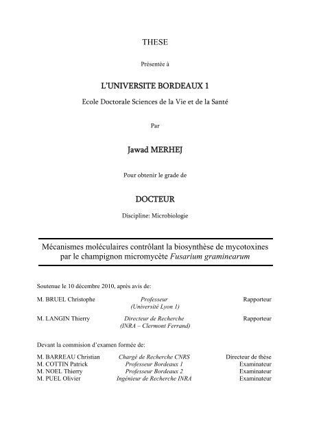 THESE L'UNIVERSITE BORDEAUX 1 Jawad MERHEJ DOCTEUR ...