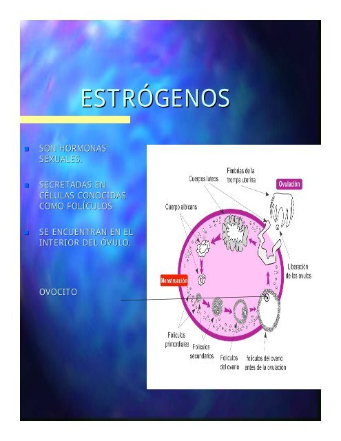 ENFRENTANDO MI CICLO