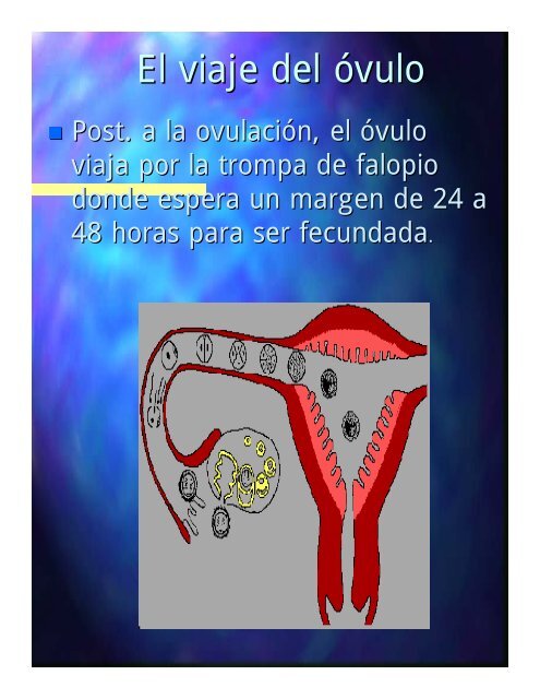 ENFRENTANDO MI CICLO