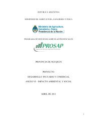 Evaluación de Impacto Ambiental y Social - Prosaponline.gov.ar