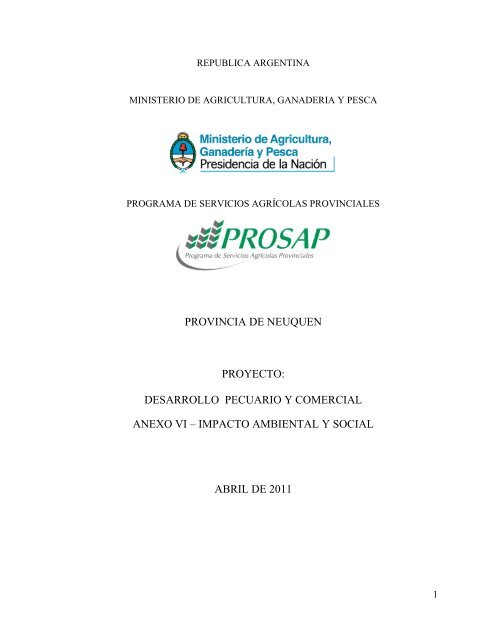 área de zonificación del dolor perineal