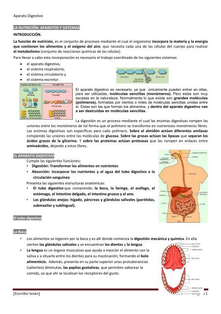Aparato Digestivo [Escribir texto] - Gobierno de Canarias