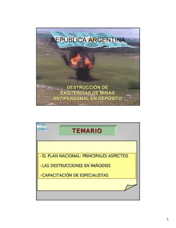 Argentina - presentation - AP Mine Ban Convention