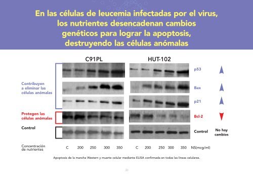 Investigación sobre medicina celular del Dr. Rath - Alianza del Dr ...