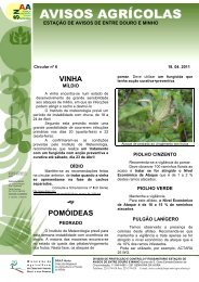 vinha pomóideas - Direcção Regional de Agricultura e Pescas do ...