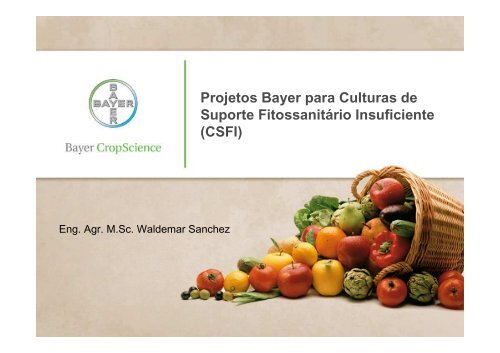 Projetos Bayer para Culturas de Suporte Fitossanitário Insuficiente ...