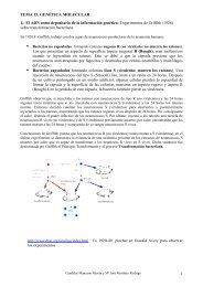 Genética molecular - IES San Isidro