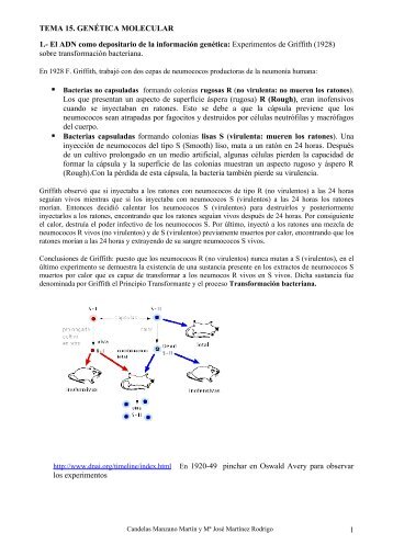 Genética molecular - IES San Isidro