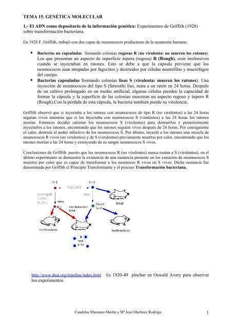 Genética molecular - IES San Isidro